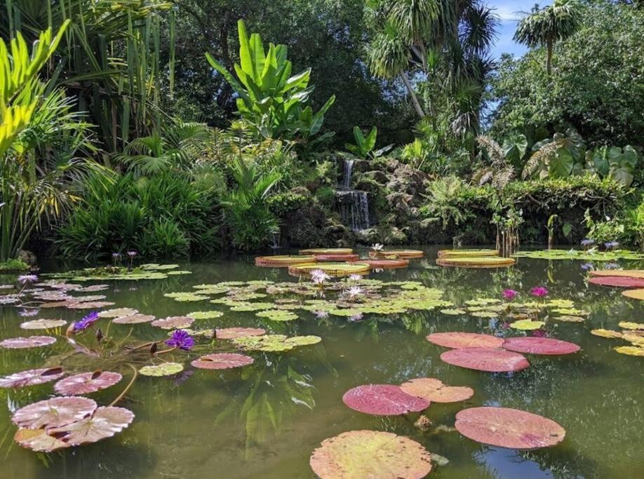 Insta Worthy Oasis Villa Homestead Ngoại thất bức ảnh